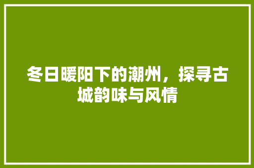 冬日暖阳下的潮州，探寻古城韵味与风情