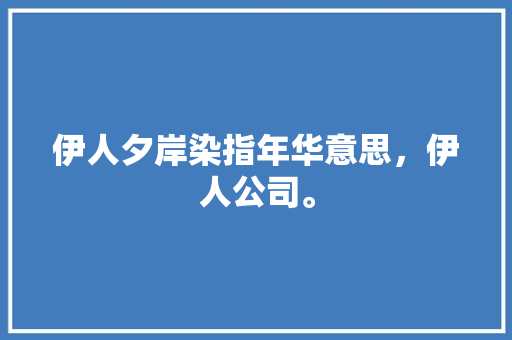 伊人夕岸染指年华意思，伊人公司。