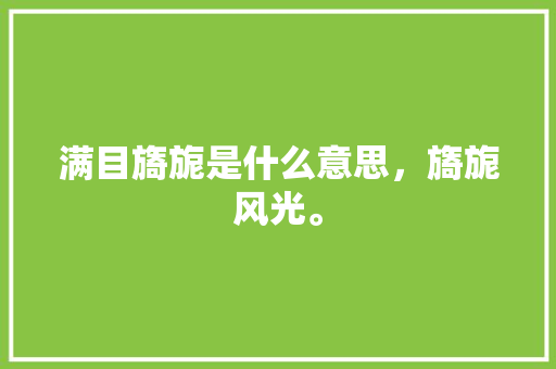 满目旖旎是什么意思，旖旎风光。