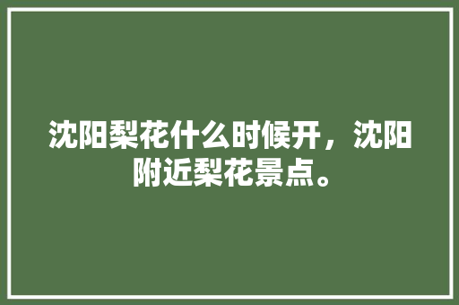 沈阳梨花什么时候开，沈阳附近梨花景点。