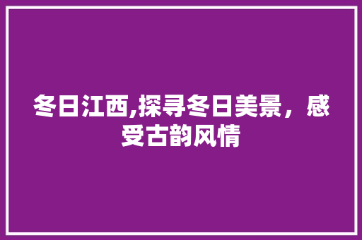 冬日江西,探寻冬日美景，感受古韵风情