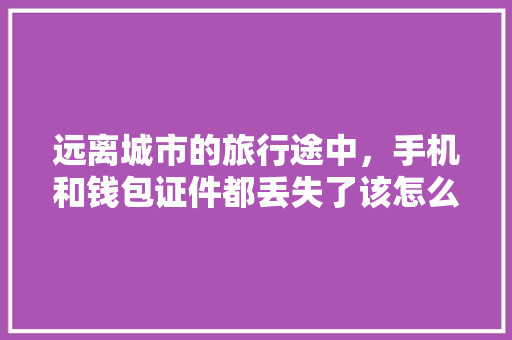 远离城市的旅行途中，手机和钱包证件都丢失了该怎么办，关掉手机去旅行的说说。