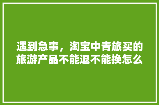 遇到急事，淘宝中青旅买的旅游产品不能退不能换怎么办，淘宝旅游不退货怎么办。  第1张