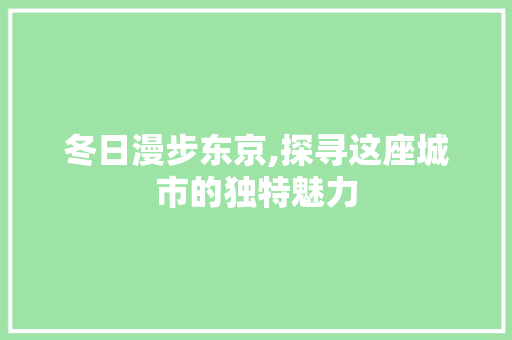 冬日漫步东京,探寻这座城市的独特魅力  第1张