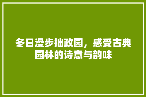 冬日漫步拙政园，感受古典园林的诗意与韵味