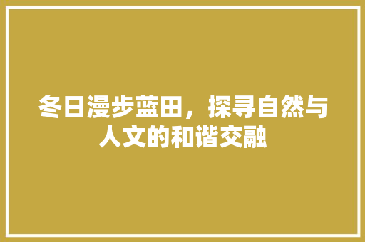 冬日漫步蓝田，探寻自然与人文的和谐交融