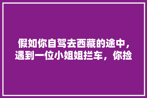 假如你自驾去西藏的途中，遇到一位小姐姐拦车，你捡吗，拦车旅游叫什么。