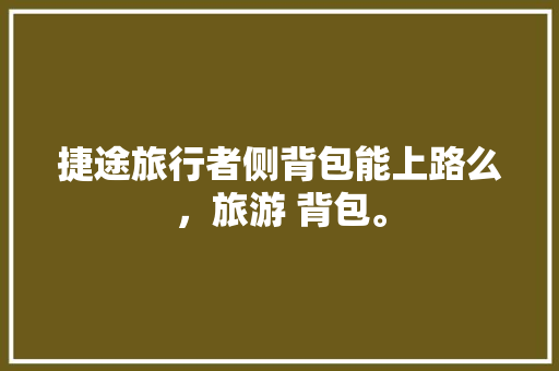 捷途旅行者侧背包能上路么，旅游 背包。