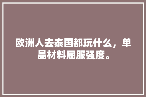 欧洲人去泰国都玩什么，单晶材料屈服强度。