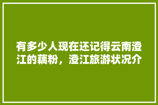 有多少人现在还记得云南澄江的藕粉，澄江旅游状况介绍。