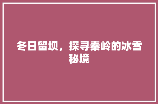 冬日留坝，探寻秦岭的冰雪秘境