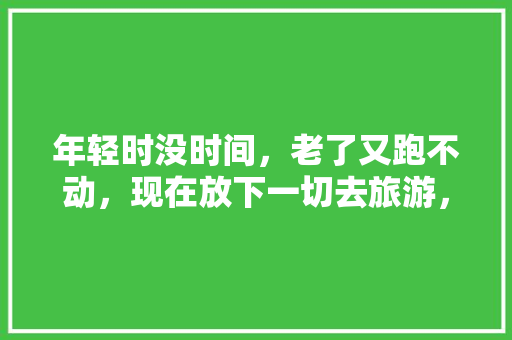 年轻时没时间，老了又跑不动，现在放下一切去旅游，值得吗，旅游走不动怎么办。