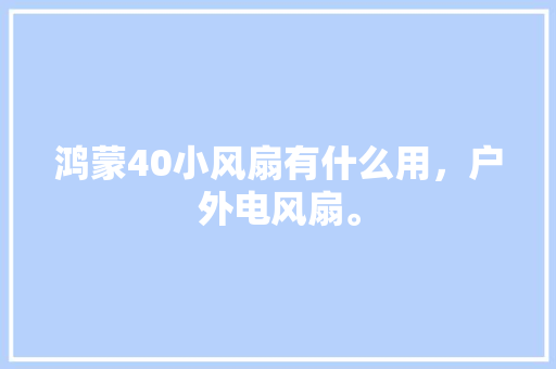 鸿蒙40小风扇有什么用，户外电风扇。  第1张