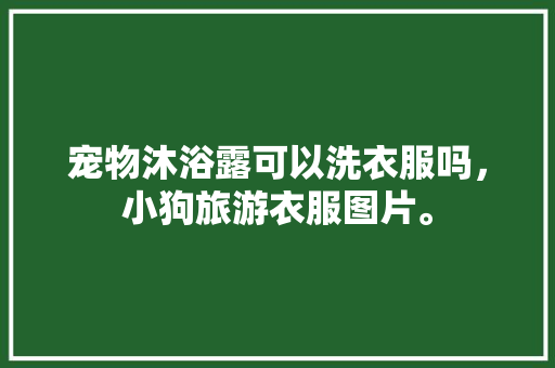 宠物沐浴露可以洗衣服吗，小狗旅游衣服图片。