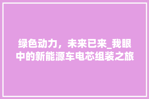 绿色动力，未来已来_我眼中的新能源车电芯组装之旅