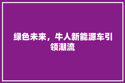 绿色未来，牛人新能源车引领潮流  第1张