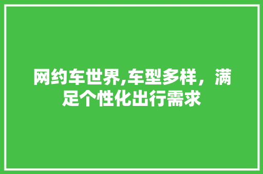 网约车世界,车型多样，满足个性化出行需求  第1张