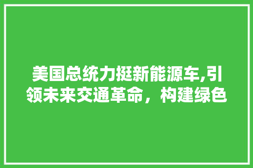 美国总统力挺新能源车,引领未来交通革命，构建绿色低碳新世界  第1张