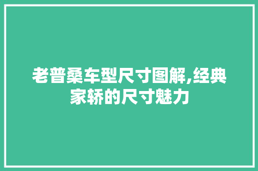 老普桑车型尺寸图解,经典家轿的尺寸魅力