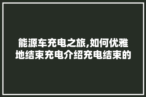 能源车充电之旅,如何优雅地结束充电介绍充电结束的奥秘  第1张