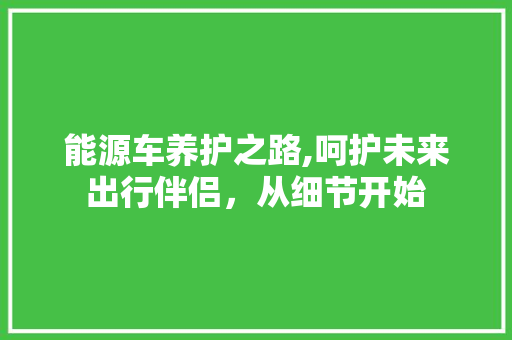 能源车养护之路,呵护未来出行伴侣，从细节开始  第1张