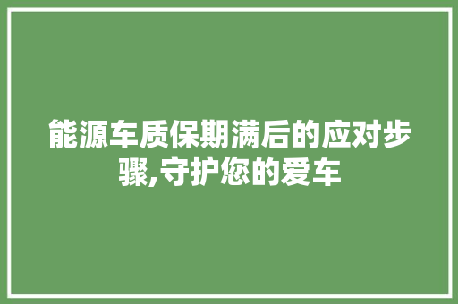 能源车质保期满后的应对步骤,守护您的爱车  第1张