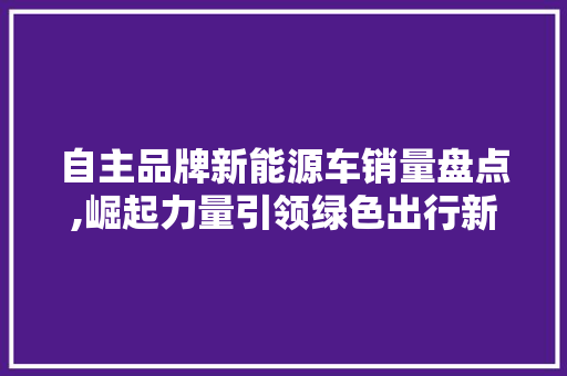 自主品牌新能源车销量盘点,崛起力量引领绿色出行新风尚  第1张