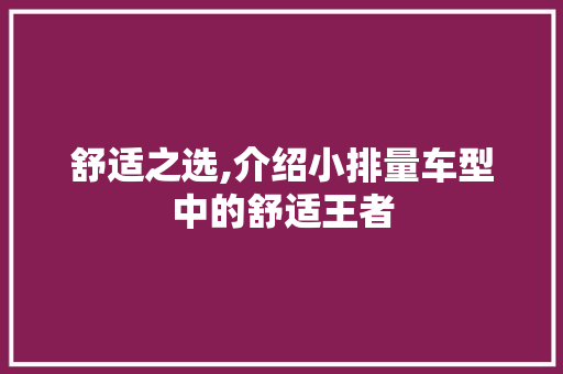 舒适之选,介绍小排量车型中的舒适王者  第1张