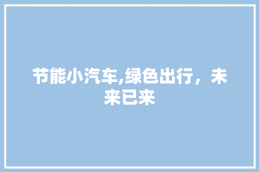 节能小汽车,绿色出行，未来已来  第1张