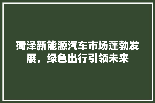 菏泽新能源汽车市场蓬勃发展，绿色出行引领未来