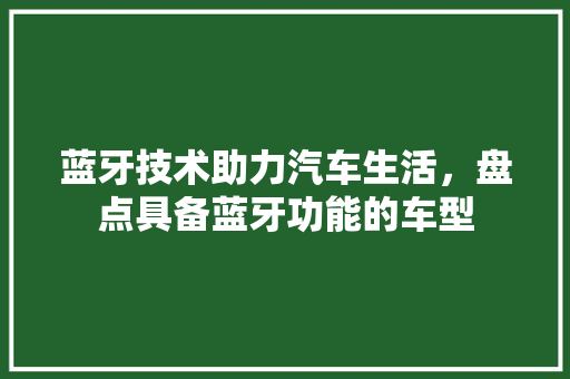 蓝牙技术助力汽车生活，盘点具备蓝牙功能的车型