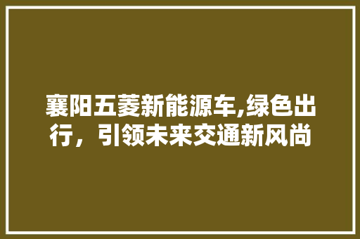 襄阳五菱新能源车,绿色出行，引领未来交通新风尚