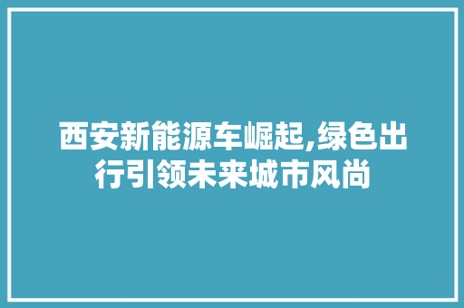 西安新能源车崛起,绿色出行引领未来城市风尚