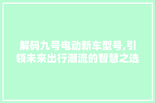 解码九号电动新车型号,引领未来出行潮流的智慧之选