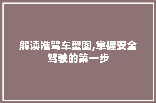 解读准驾车型图,掌握安全驾驶的第一步