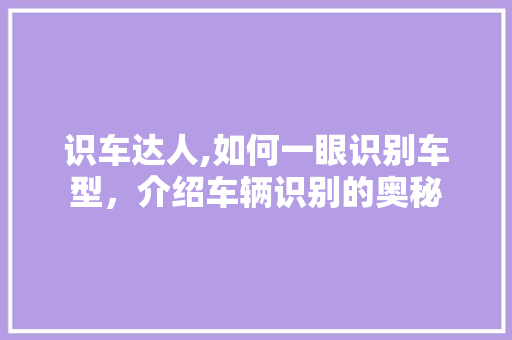 识车达人,如何一眼识别车型，介绍车辆识别的奥秘