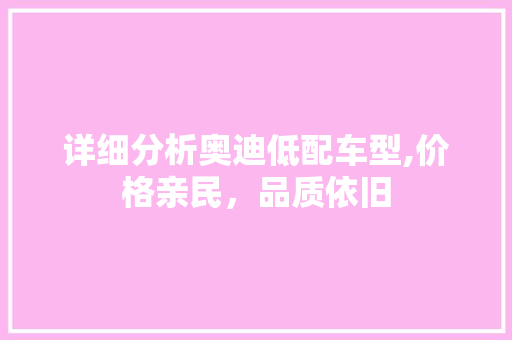 详细分析奥迪低配车型,价格亲民，品质依旧  第1张