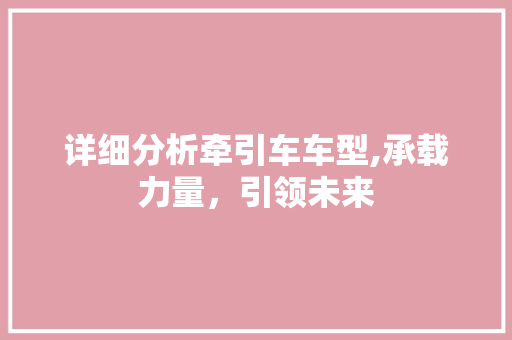 详细分析牵引车车型,承载力量，引领未来