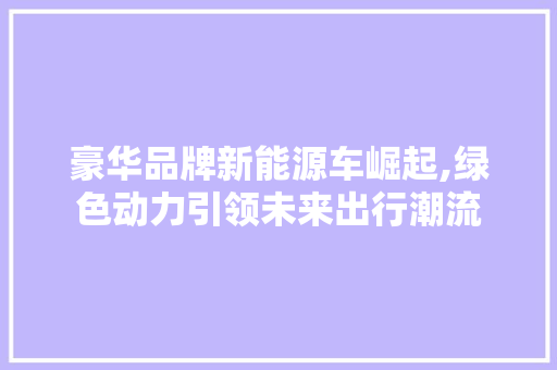 豪华品牌新能源车崛起,绿色动力引领未来出行潮流  第1张