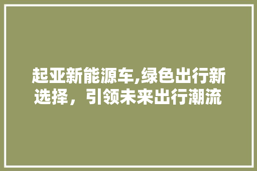 起亚新能源车,绿色出行新选择，引领未来出行潮流