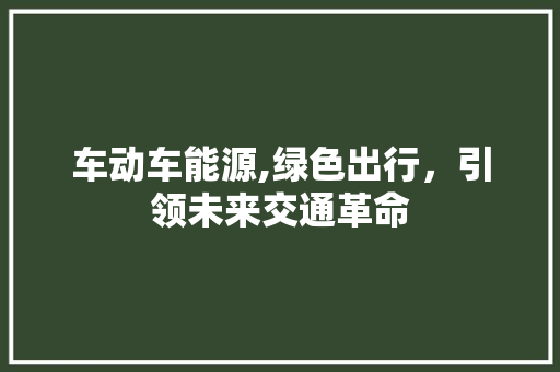 车动车能源,绿色出行，引领未来交通革命  第1张