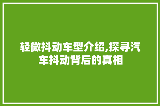 轻微抖动车型介绍,探寻汽车抖动背后的真相