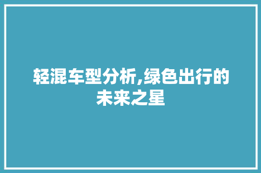 轻混车型分析,绿色出行的未来之星  第1张