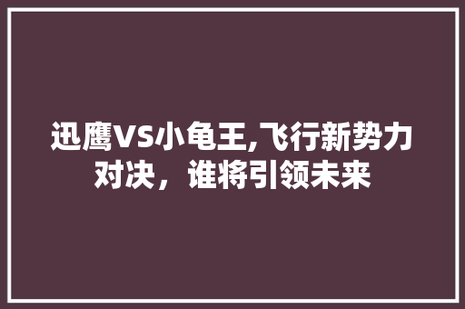 迅鹰VS小龟王,飞行新势力对决，谁将引领未来  第1张