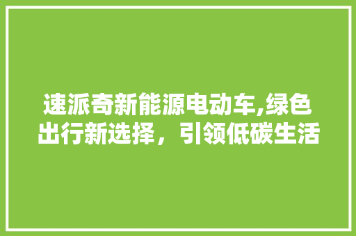 速派奇新能源电动车,绿色出行新选择，引领低碳生活潮流  第1张