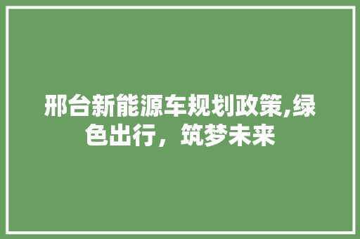 邢台新能源车规划政策,绿色出行，筑梦未来