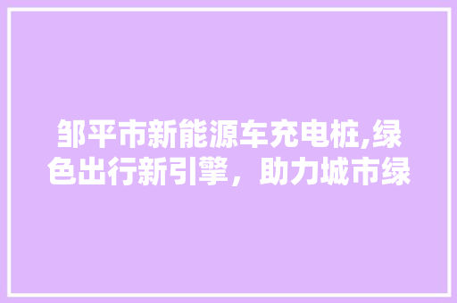 邹平市新能源车充电桩,绿色出行新引擎，助力城市绿色发展  第1张