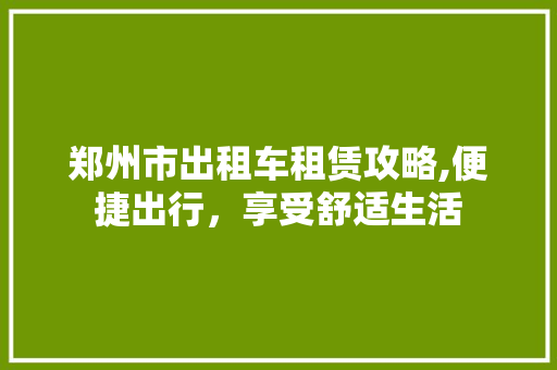 郑州市出租车租赁攻略,便捷出行，享受舒适生活  第1张