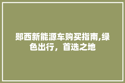 郧西新能源车购买指南,绿色出行，首选之地