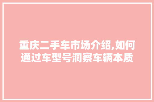 重庆二手车市场介绍,如何通过车型号洞察车辆本质